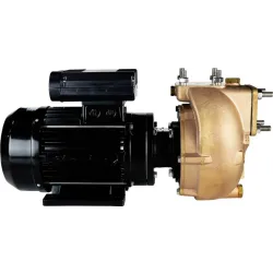 Electropompe AM40D5 230V monophasé
