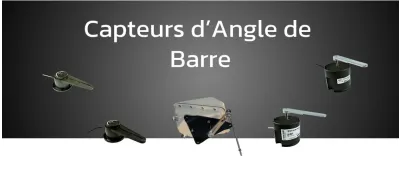 Pilote automatique & instruments