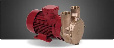 Electropompes eau / gasoil