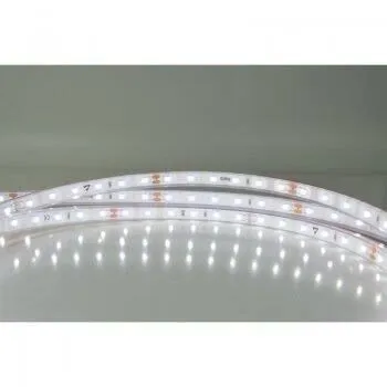 Bande LED 12V blanc naturel 12mm IP54