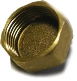 Bouchon femelle laiton 1''1/2
