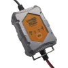 Chargeur étanche 6/12V 1A