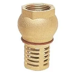 Clapet de pied laiton Ø 2''1/2