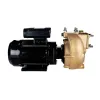 Electropompe AM40D5 230V monophasé