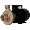Electropompe CT25 230/400V