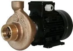 Electropompe CT25 230V