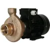 Electropompe CT25 230V