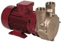 Electropompe PC25