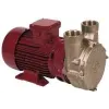 Electropompe PC25