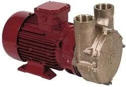 Electropompe PC25