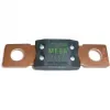 Fusible AMG/Mega 80A
