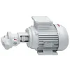 Pompe de transfert 230V - 15l/min max