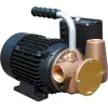 Pompe Dockside Utility 230V - 35 l/min max