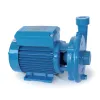Pompe Eau de mer 0,15kW 230V
