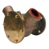Pompe flasquée Iveco Perkins Série 3270