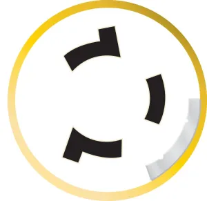 Fiche male 50A 125/250V